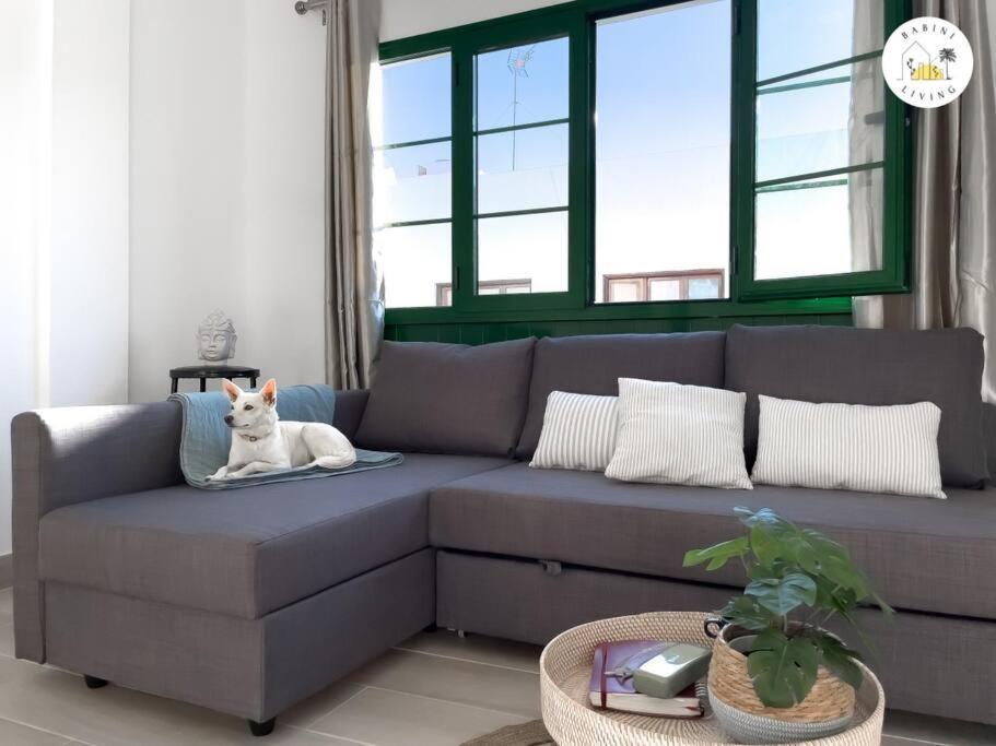 Casa Alicia Central Town By Babiniliving Коралео Екстериор снимка